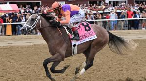 Saratoga Race Course, 2025 Hopeful Stakes, Ted Noffey